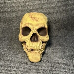 VTG Halloween‎ Easter Unlimited Rubber Foam Filled Prop Skull Life Like Deco